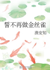 熊出没之猎鹰熊岛免费观看