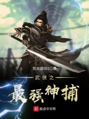 苏菲赵东来小说