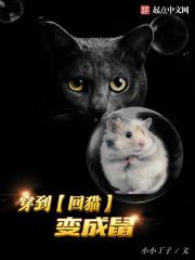史上最强导演
