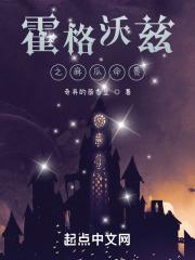 乱jiao游乐园