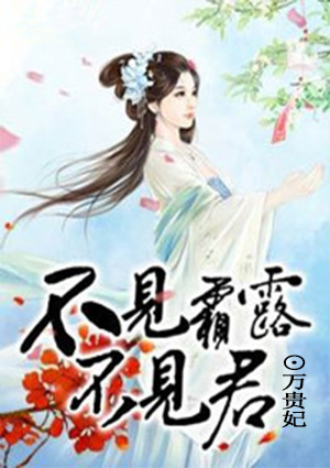我的妻子的姐姐电影