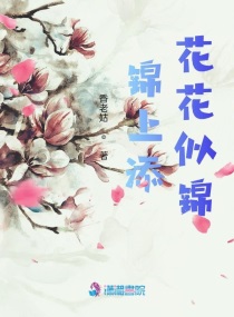 侠盗飞车秘籍无限金钱