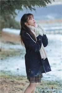 莱芜梆子