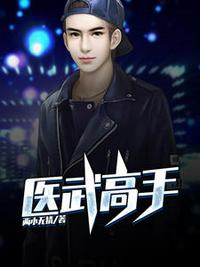 少年骇客最终进化3风车