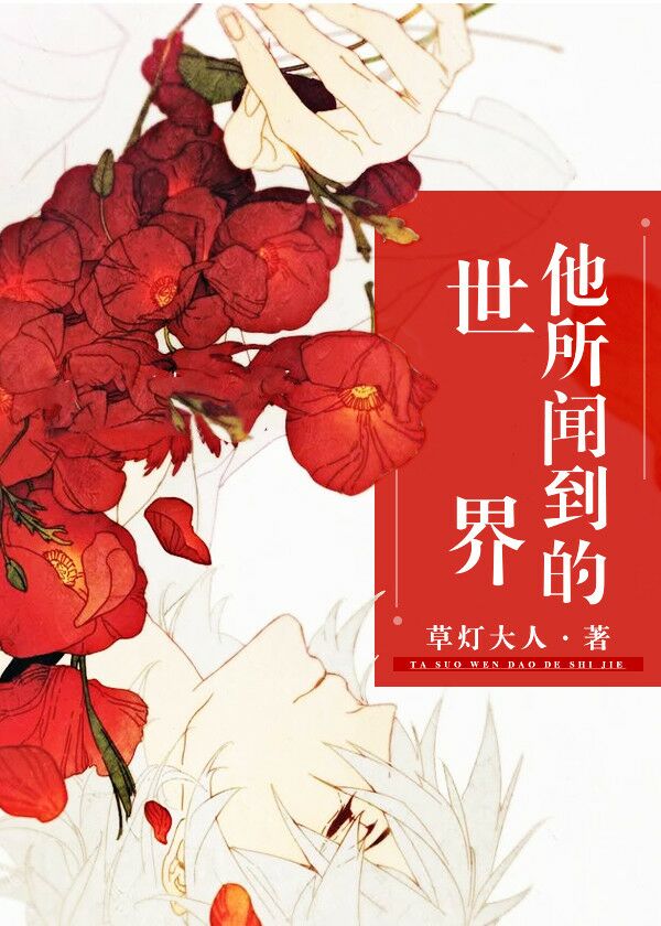 有泽实纱