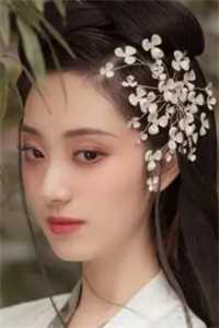 穿越后我追妻火葬场了