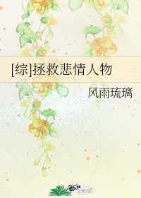 延禧宫略百度云