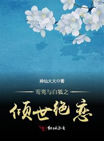 魏承泽写的书全部免费阅读小说