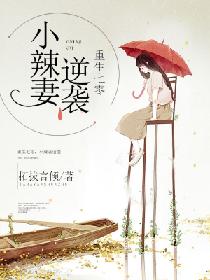 黑帮少爷爱上我一共多少级