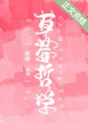 温暖的弦小说txt下载