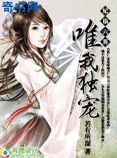 奇思妙想翁第十三部阅读