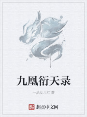 流星网