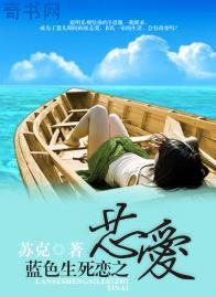 一级黄一片2024免费