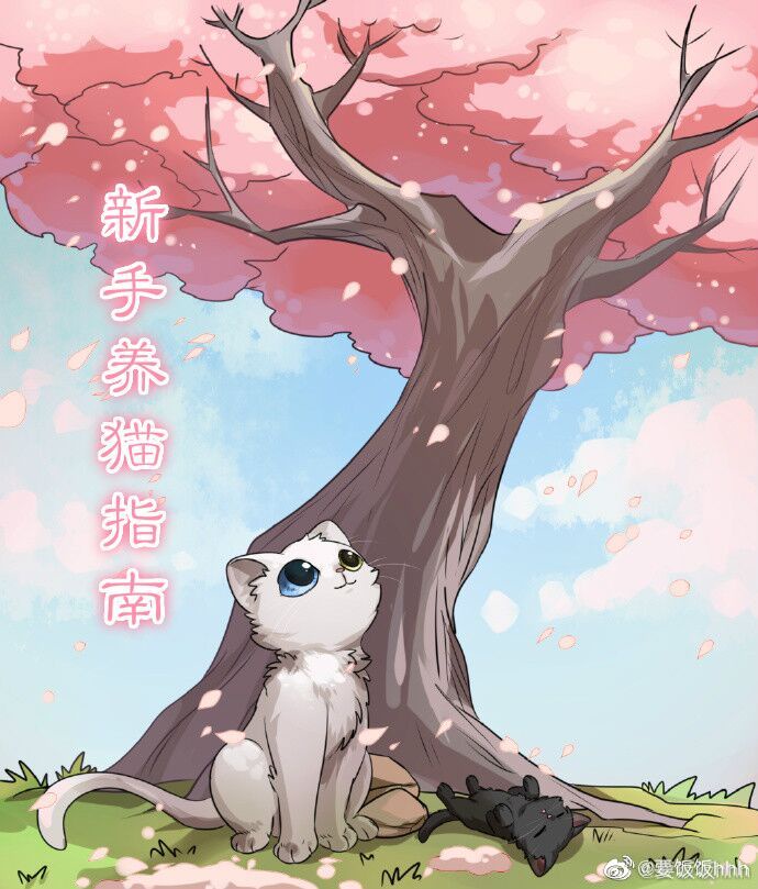 欧关同性ideos免费