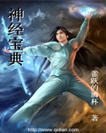 盛夏晚晴天小说txt