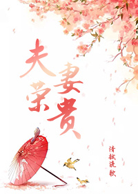 出租房里母亲满足我