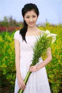 乡村交系列小说
