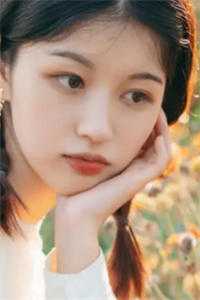 流星花园剧情