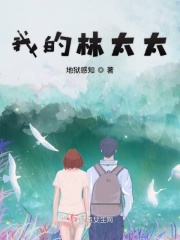 hs网站免费