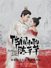 老王和她的儿媳林婉如