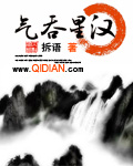 撸先生安卓app下载