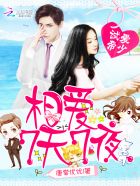 超银河传说日语版