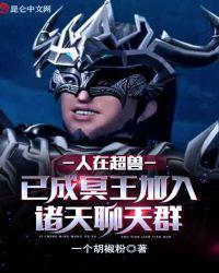 我的团长我的团无删减版