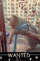 学生的妈妈在线播放