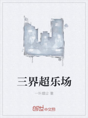 新编三宝局长1一34部分