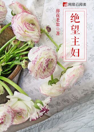 西游记2024