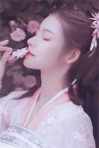 伊人视频app
