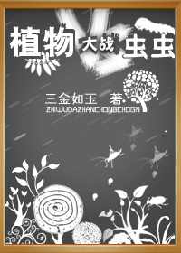 万飞