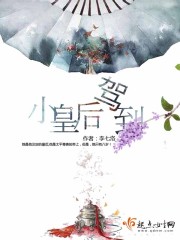 猫咪vip破解版百度云