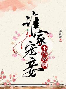 金剑雕翎小说
