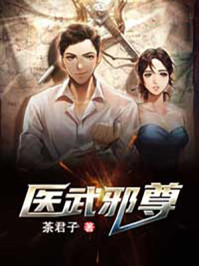 墨燃第一次进入楚晚宁车
