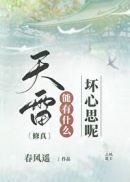 李宗瑞全集1—60未删减版视频