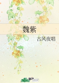 李珊陈婷小说免费读