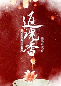新的哥哥2免费完整版电视剧