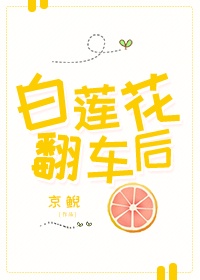 玩偶姐姐所有剧在哪里看啊