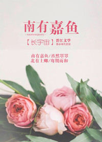 高分影视盒子