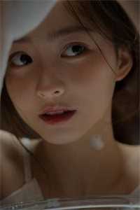 火影在线观看