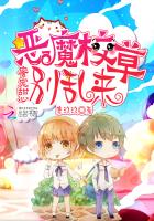 我的灿烂人生完整版
