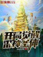海盗2号斯塔格内蒂的复仇