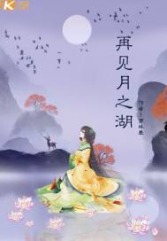 海贼王娜美