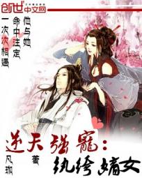 金瓶双艳杨思群版全集