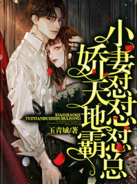 守望先锋dva本子污