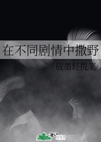 白洁小说全集目录列表