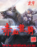 海贼王之魅力无限