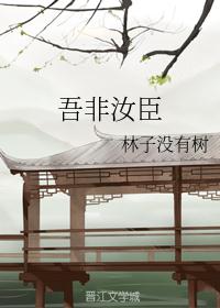 扒开双腿进入爽爽视频
