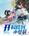 延禧攻略金枝玉叶电视剧免费观看